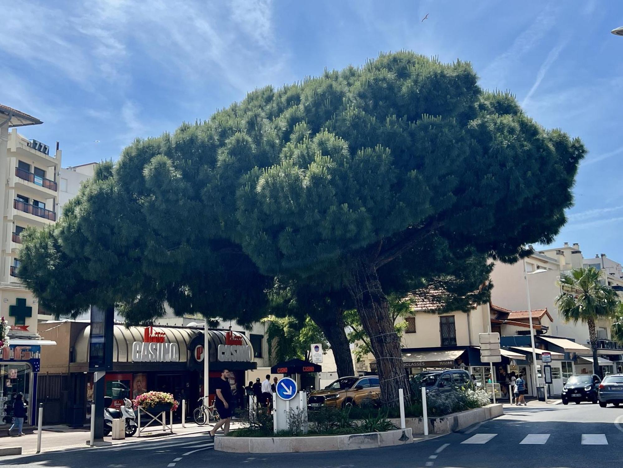 Juan 4 Prs, Clim, 300m Plage, Piscine, Parking * Antibes